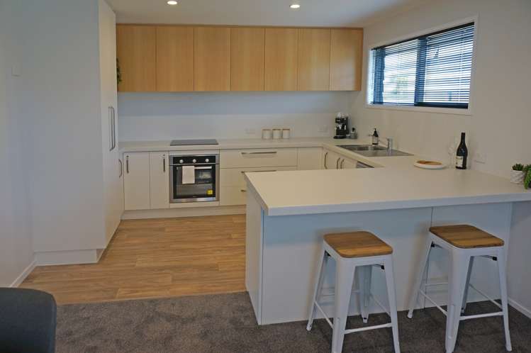 217 Teviot Street Georgetown_1