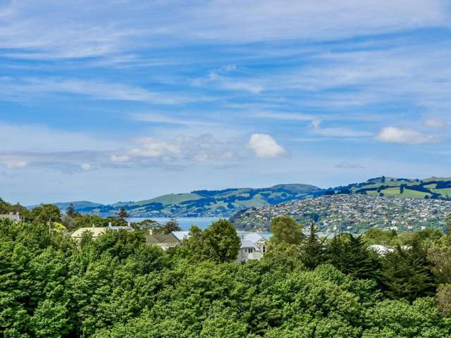 10 Carson Street Mornington_4