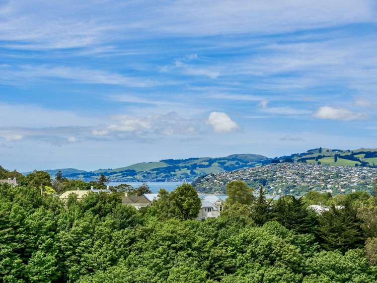 10 Carson Street Mornington_4