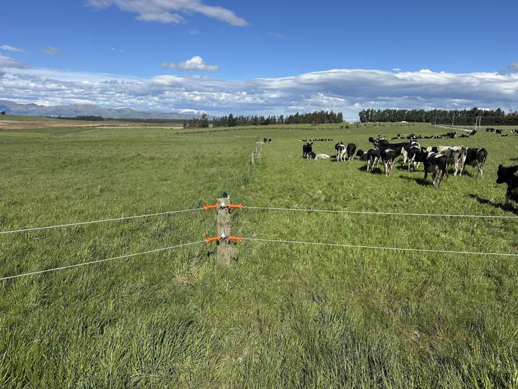 412 Gallagher Road Mossburn_20