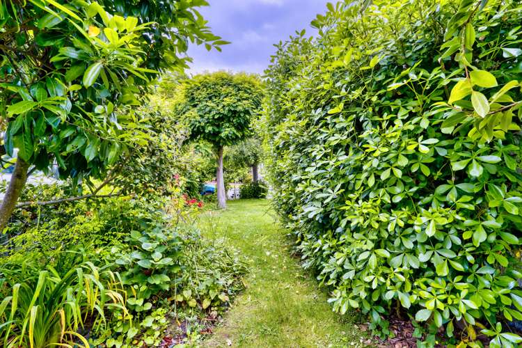 11 Deakin Place Clive_21