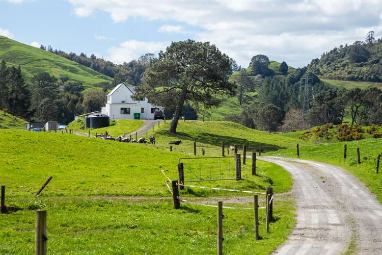 259 Mcphail Road Oropi_17