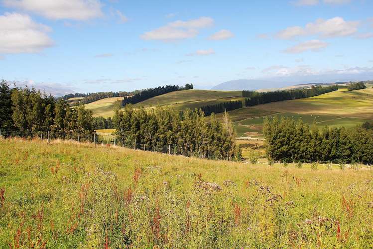 112 Ridgedale Road Te Anau_2