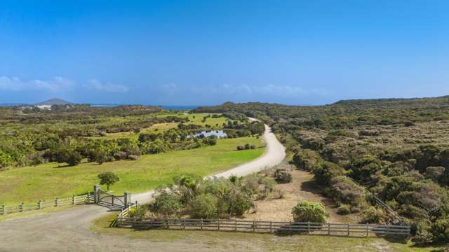 Lot 1/449 Matai Bay Road Karikari Peninsula_4