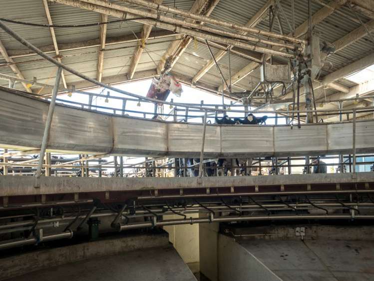 2264 Thompsons Track Lauriston_4