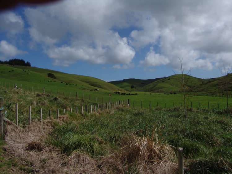 259 Arapohue Road Dargaville Surrounds_19