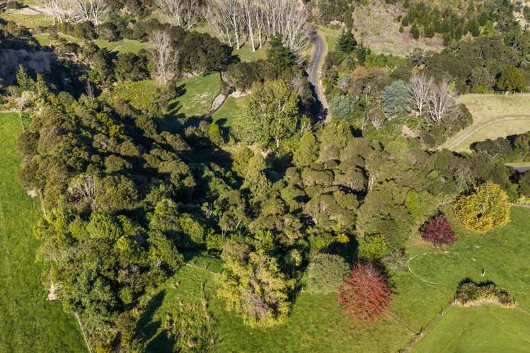 139 Awahou South Road Ashhurst_31