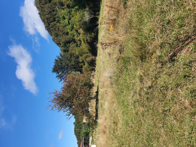 232 Woodstock-Rimu Road Ruatapu_12