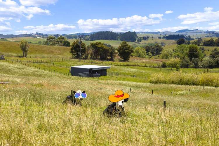 237 J V Grant Road Wellsford_25