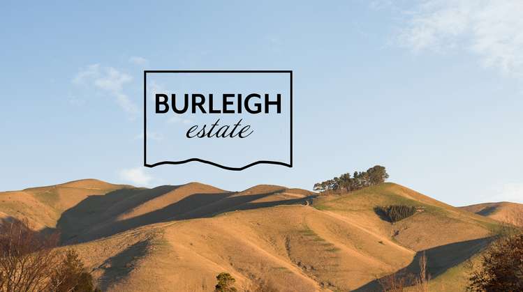 34 Birchwood Avenue Burleigh_6