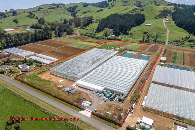 379 Razorback Road Pokeno_1