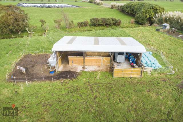 581 Kellow Road Glen Oroua_2