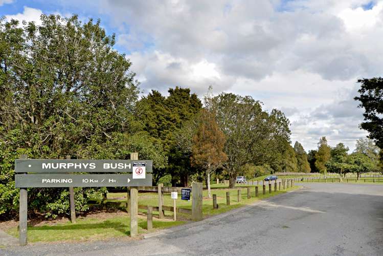 38 Cloonlyon Drive Flat Bush_15