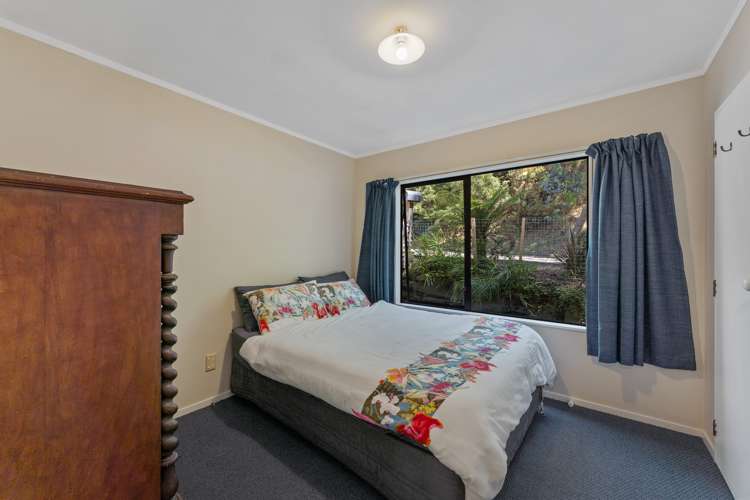 49 Thompson Terrace Toi Toi_16