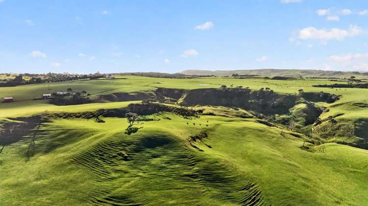55 Coster Road Muriwai_11