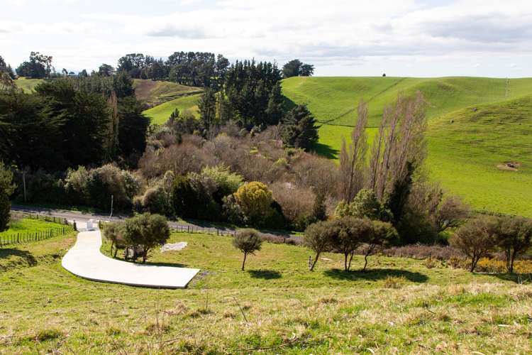 48 Norsewood Ormondville Road Norsewood_12