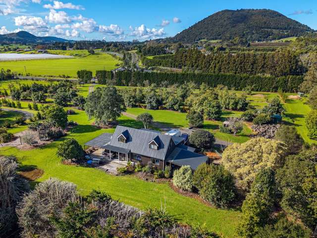 Potential Plus Lifestyle in Maungatapere