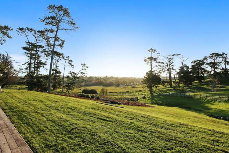 173 Top Road Dairy Flat_7