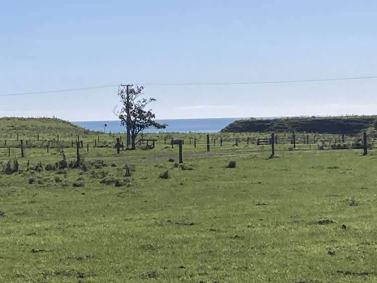 Lot 5/Near 127 Waitoetoe Road Urenui_2