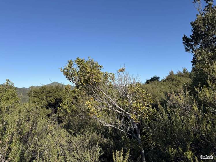 Lots 4-7 246 Blind Bay Road Great Barrier Island_6