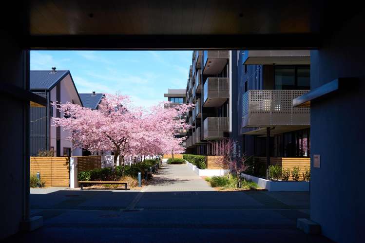 106/36a Welles Street Christchurch Central_17