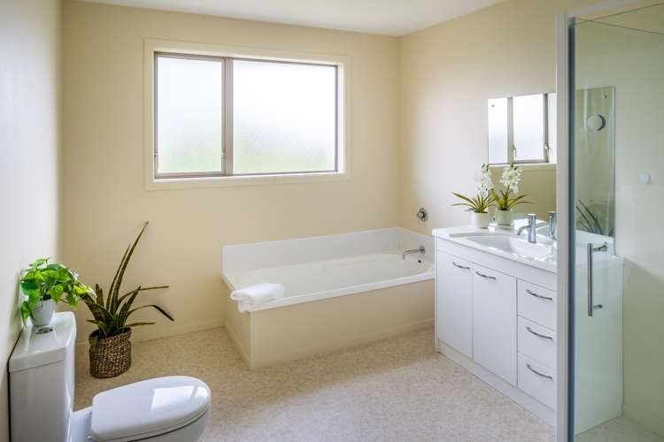 7 Catlins Glen Aotea_12