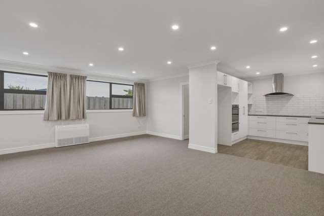 142B Melbourne Street South Dunedin_2