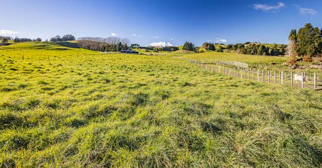 A slice of Ruapehu's Heartland