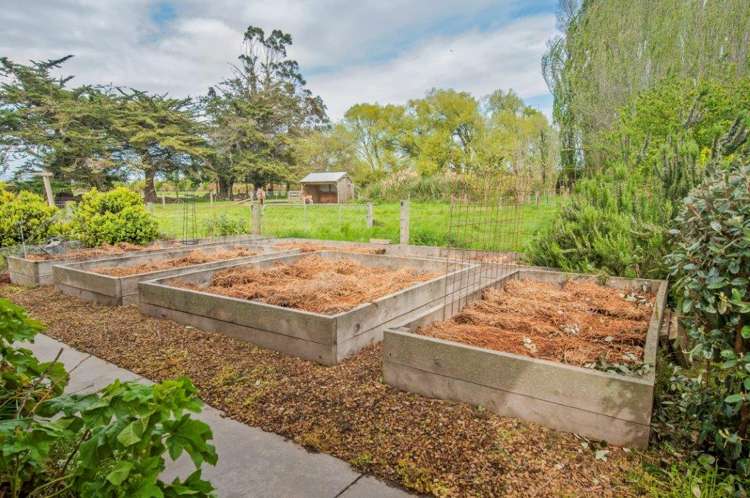 93 Volckman Road Leeston_19