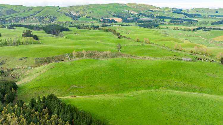 1241 Blythe Road Domett_3