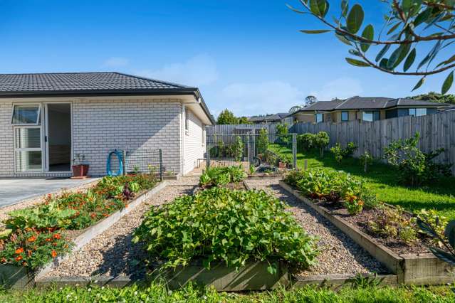 24 Minerva Avenue Helensville_3