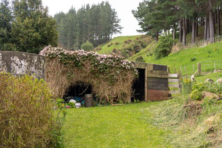 60 South Road Mauriceville_9