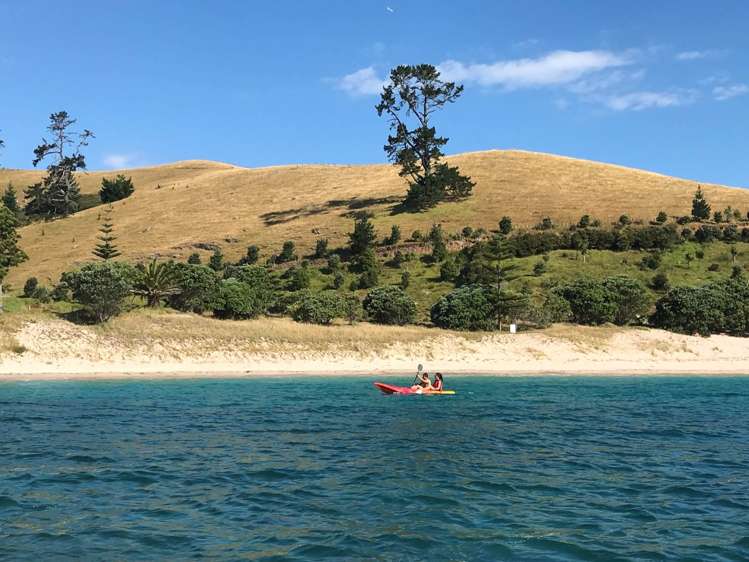 190 Pacific Ocean, Slipper Island (Whakahua) Thames_44