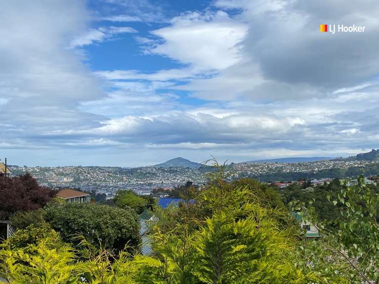 32 Aytoun Street Waverley_18