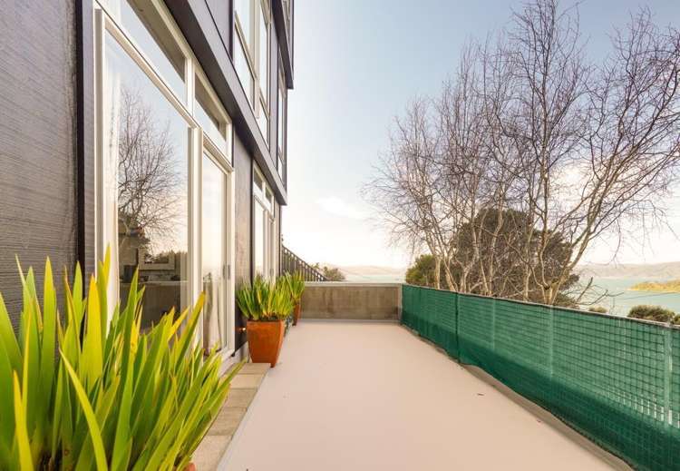 46a Grafton Road Roseneath_15