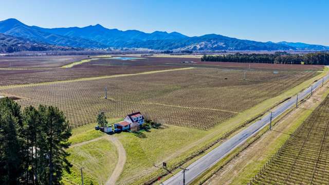 Prime sauvignon blanc with grape supply agreement
