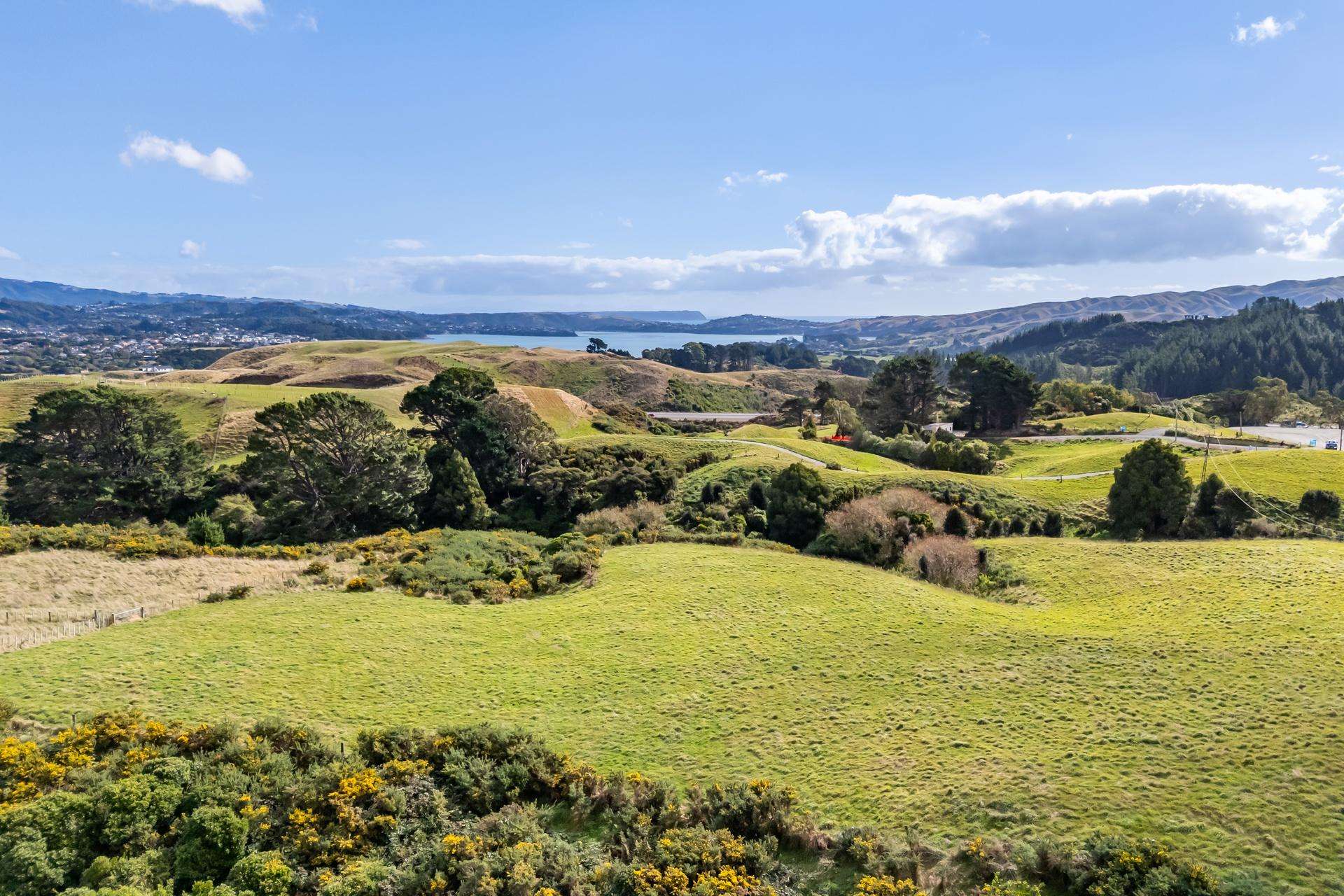 7 Margarita Grove Judgeford_0