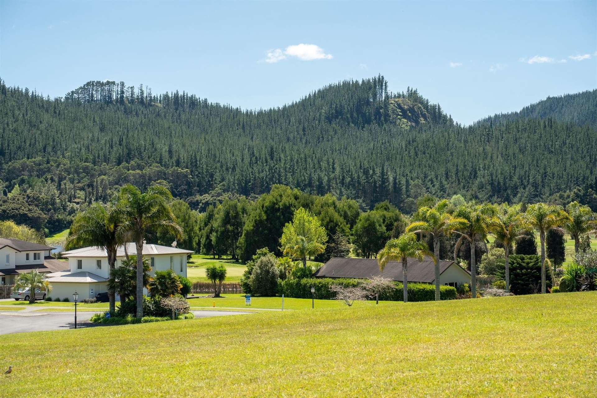 11 Sanctuary Cove Pauanui_0