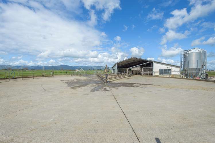 1217 Rangiotu Road Tiakitahuna_12