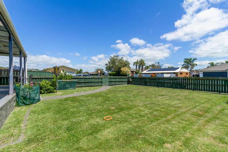 120 Guppy Road Taradale_17