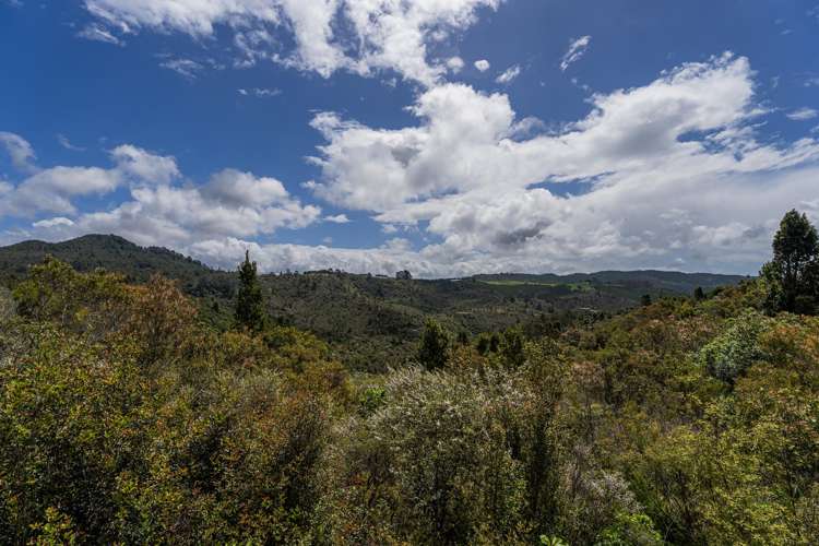 158 Silverstream Falls ROW Whitianga_13