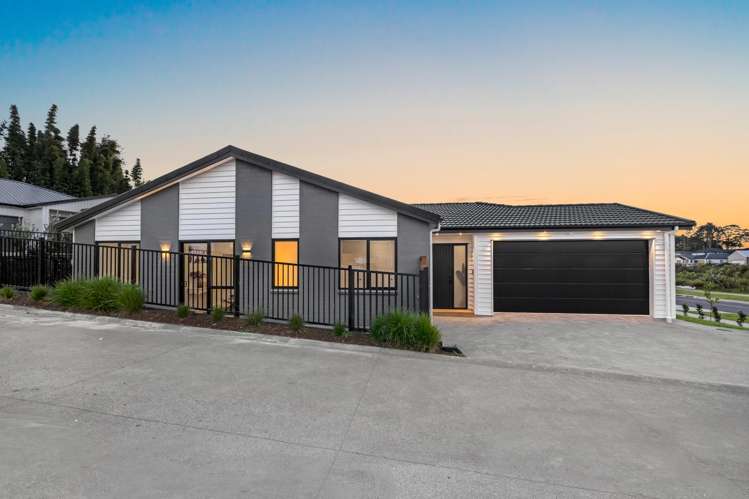 14 RONGOA MAORI WAY_0