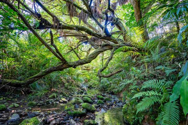 9 Whatonga Place (Pvt) Whangarei Heads_1