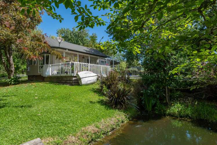 435 Pine Valley Road Dairy Flat_37