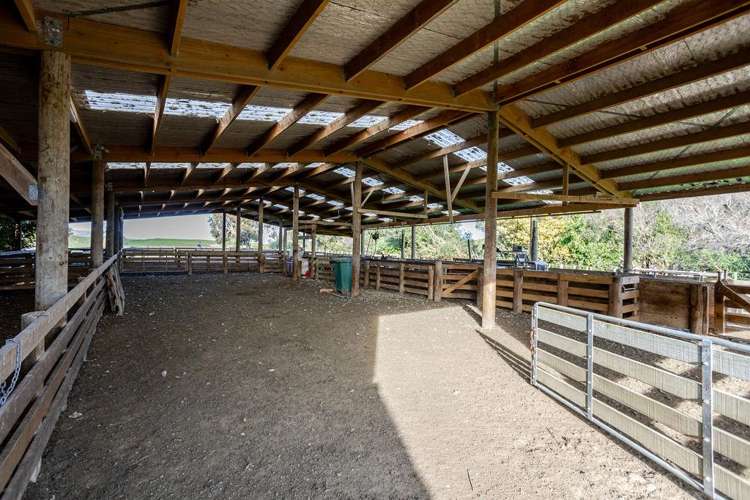 30 Mangahei Road Dannevirke_16
