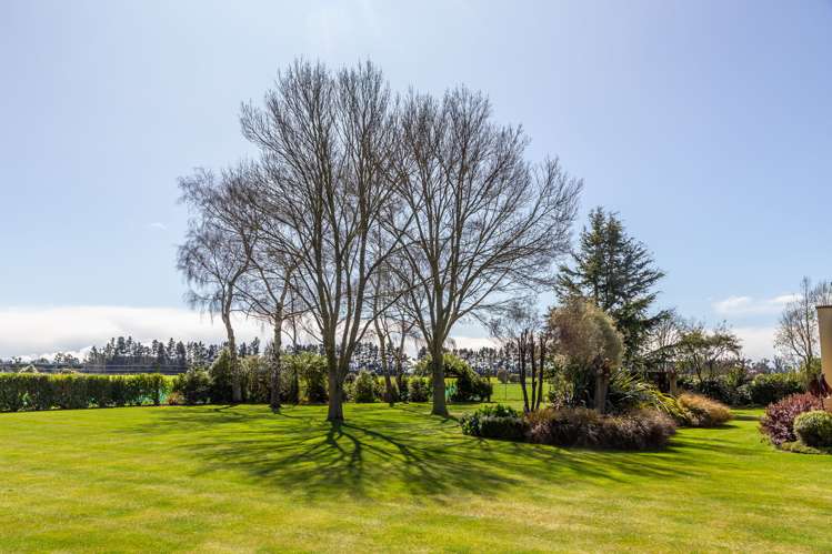 684 Telegraph Road Selwyn_23