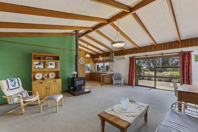 217 Smart Road Hillsborough_2