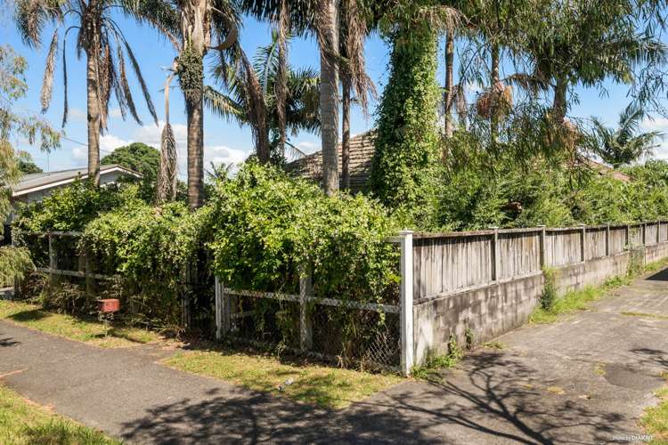49 Riversdale Road Avondale_8