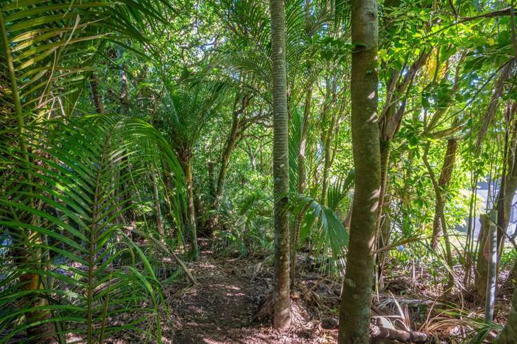 54 Goodwin Avenue Oneroa_14