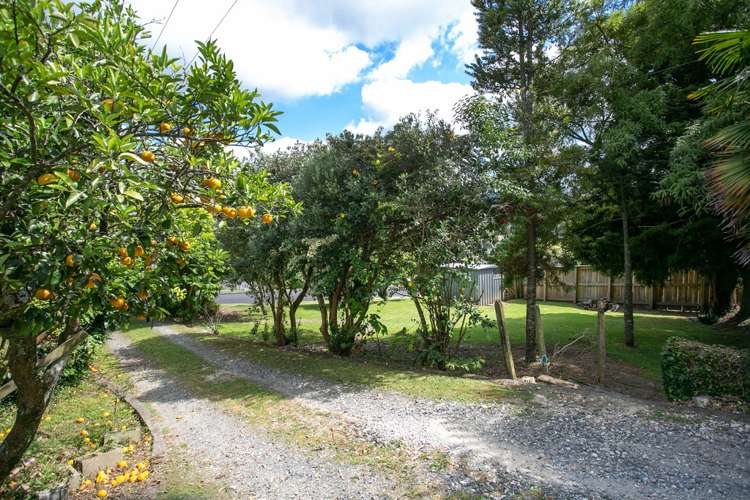 6 Butler Street Te Kuiti_24